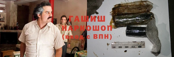 гидра Няндома