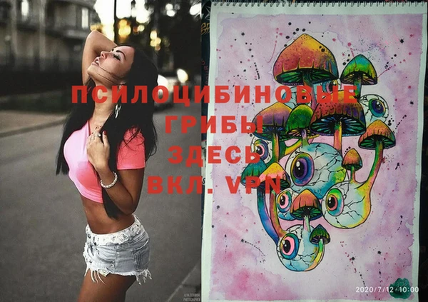 бошки Нягань