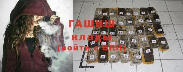 гидра Няндома