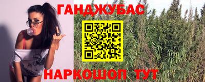 PSILOCYBIN Аргун