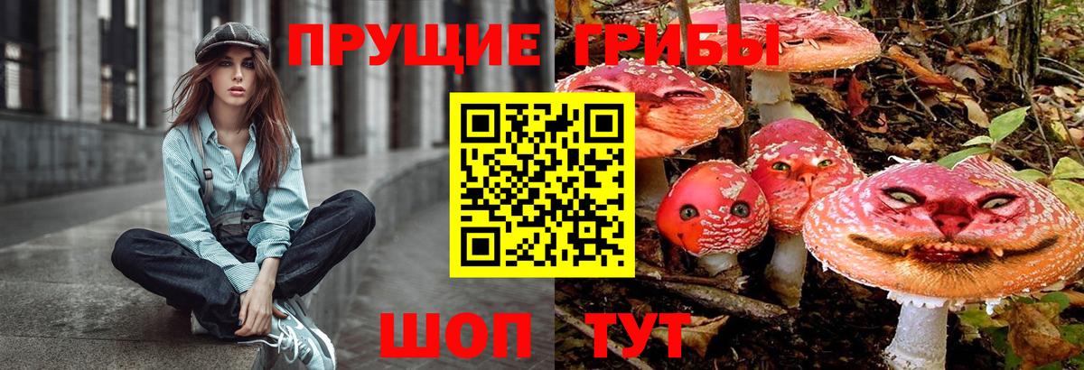 Галлюциногенные грибы мицелий  Вход с VPN  Березники 