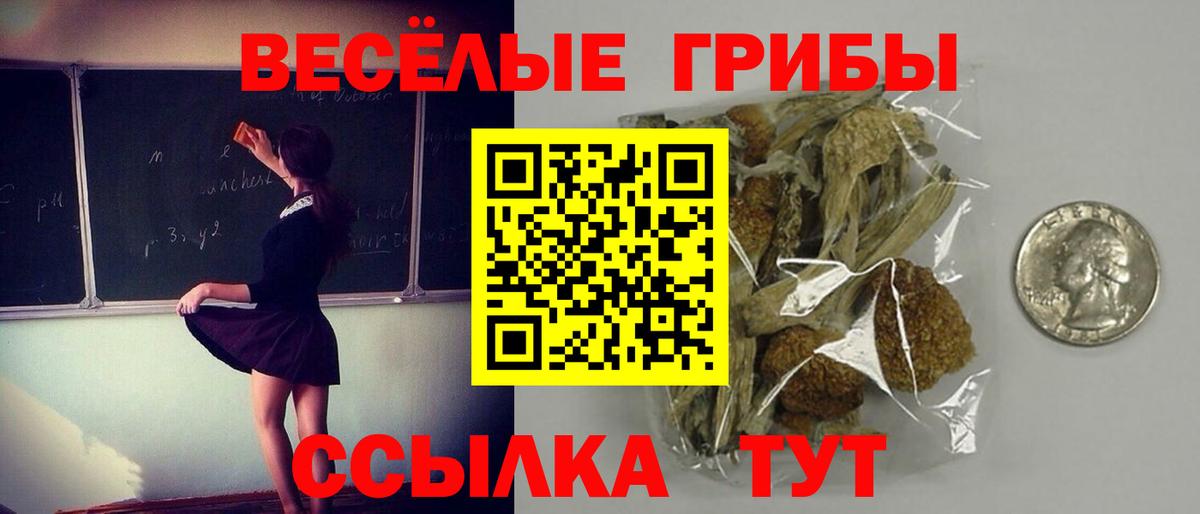 Галлюциногенные грибы MAGIC MUSHROOMS Березники